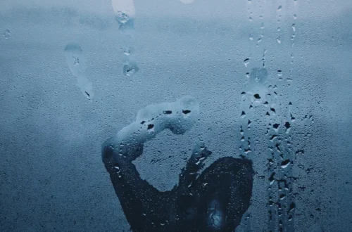 Damp in Your House: Causes, Warning Signs and How to Fix It