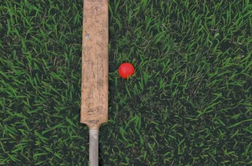 How to Knock in a Cricket Bat: A Complete Step-by-Step Guide