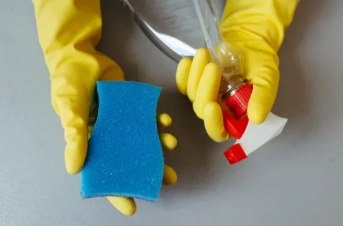 How to Remove Mould from Walls Safely and Stop It Coming Back